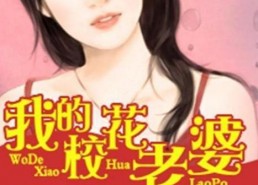 娱乐吃瓜老婆小说,吃瓜老婆的逆袭之路