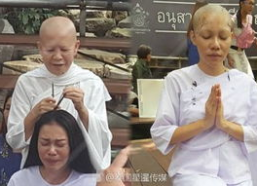 泰国ammy资料,探寻泰国美食文化的魅力所在